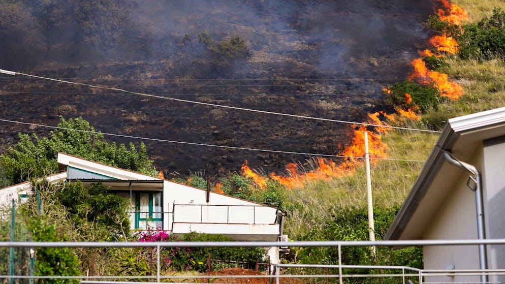 Die Flammenherde auf Sizilien kommen Wohngebieten sehr nahe. Foto: Alberto Lo Bianco/LaPresse/AP