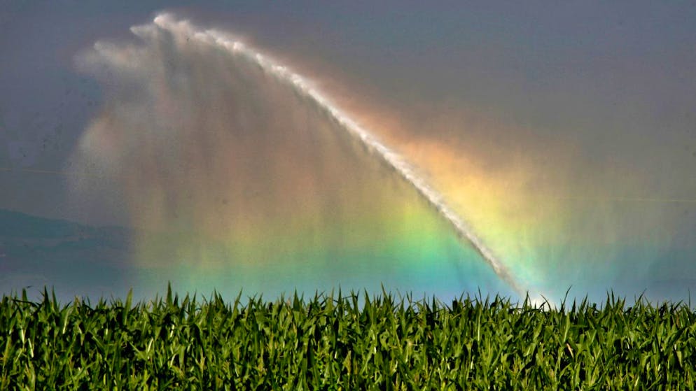 Aus den meisten Gewässern im Thurgau darf derzeit kein Wasser entnommen werden. (Symbolbild)