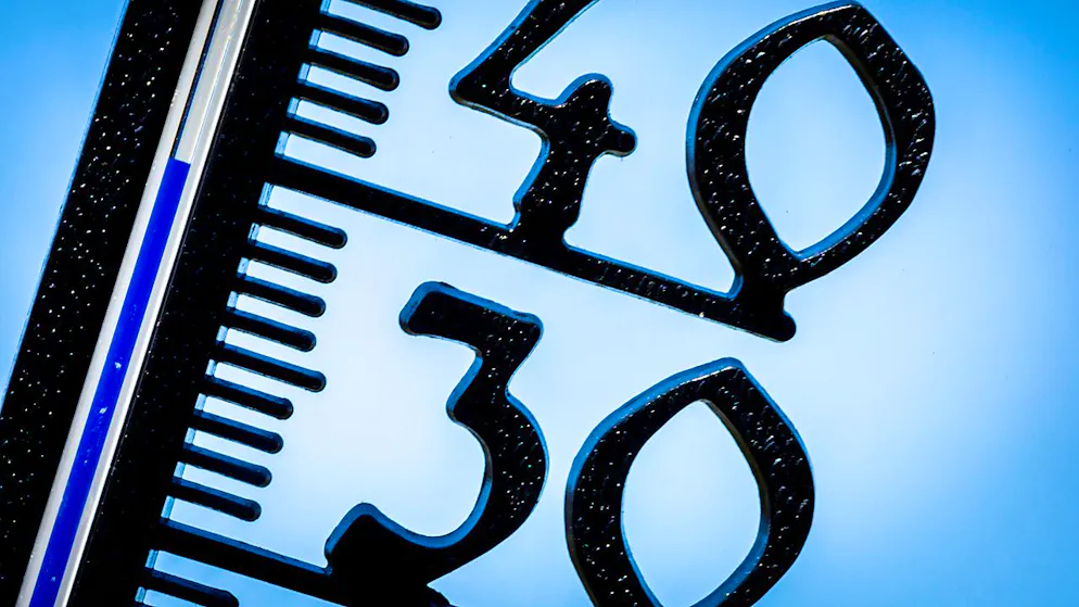 Il termometro di un giardino tedesco segna quasi 40 gradi a metà luglio.