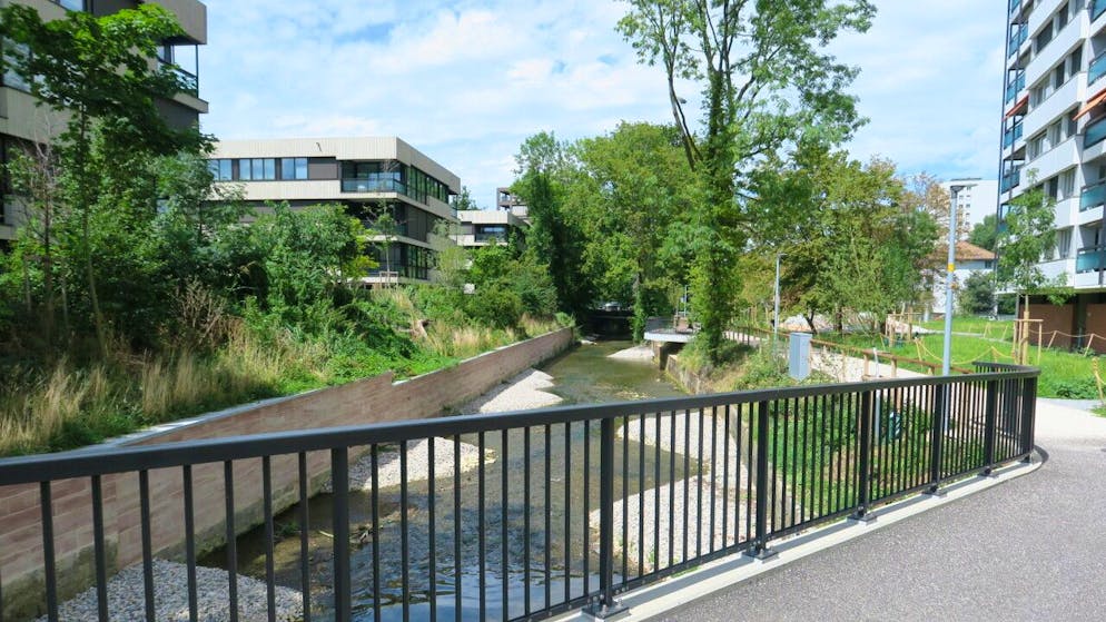 Die Basler St. Albanteich-Promenade im neuen Gewand - Gallery. Die neue Brücke über den St. Alban-Teich mit der neuen Ufermauer und dem "Quartierbalkon" im Hintergrund.