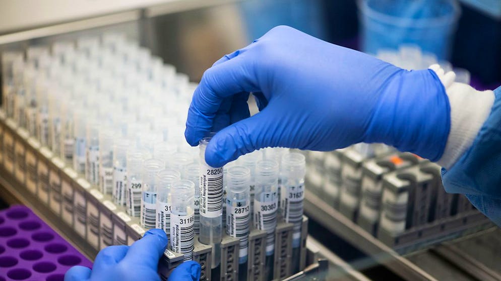 L'intelligenza artificiale può aiutare in molti ambiti della ricerca (foto d'archivio).