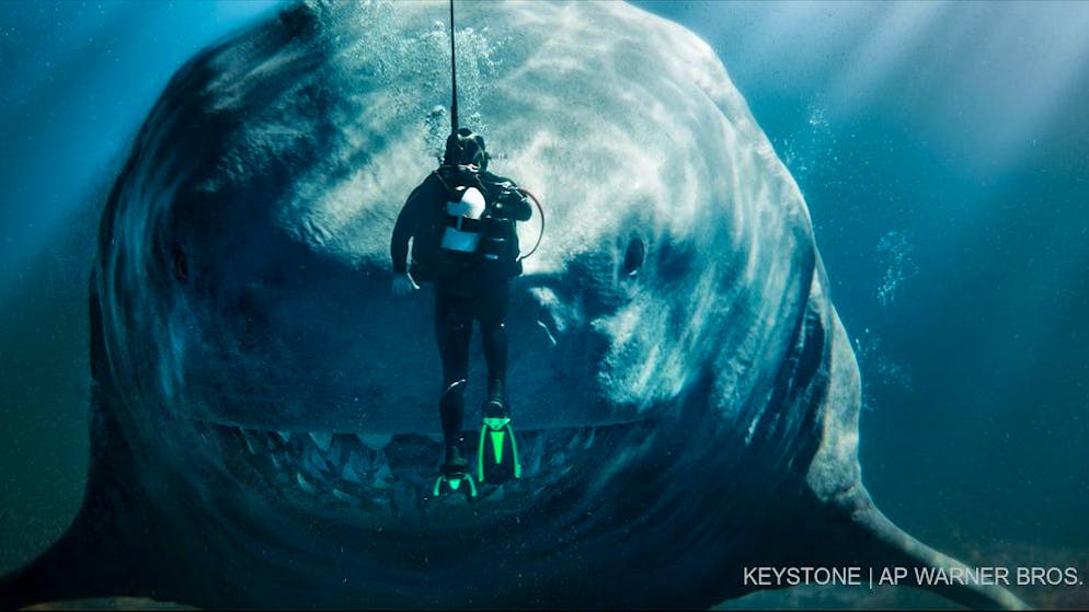 Return of the basking shark. Still hanging out on the beach? Then check back here later