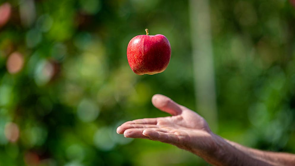Zirkadianer Rhythmus: So tickt unsere innere Uhr. Du brauchst am Nachmittag einen kleinen Zuckerschub? Greif aber lieber zu frischen Früchten statt zum Schoggiriegel. Früchte sollten ohnehin getrennt von anderen Mahlzeiten gegessen werden – und sie liefern dir den idealen Energiekick vor dem Sport.