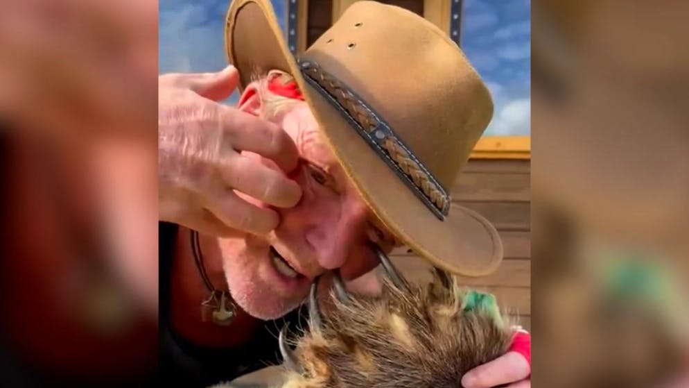 Tierfilmer überlebt Bären-Angriff. Andreas Kieling: Biss «ging bis auf die Knochen durch»