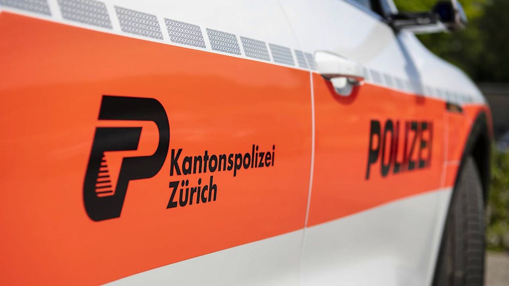 Tragischer Badeunfall: Unter anderem die Kantonspolizei Zürich war am frühen Donnerstagabend im Einsatz. (Symbolbild).