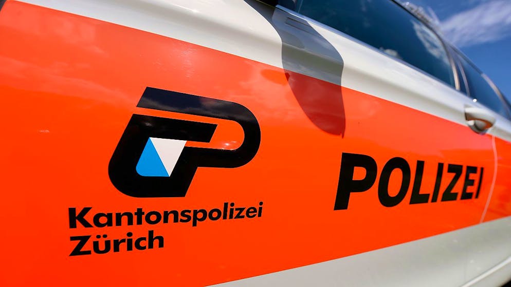 Unter der Leitung der Kantonspolizei Zürich gab es am Freitag einen grösseren Polizeieinsatz in Olten SO. (Symbolbild)