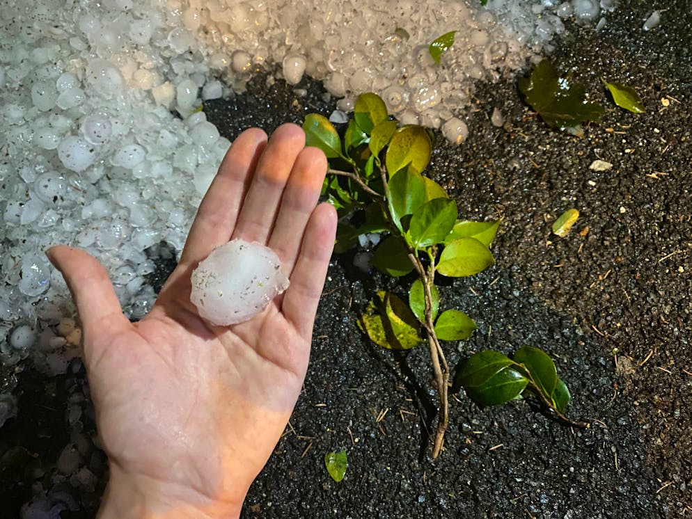 Grandinata a Locarno 25 agosto 2023. I chicchi, già in parte sciolti, sono ancora molto grossi.