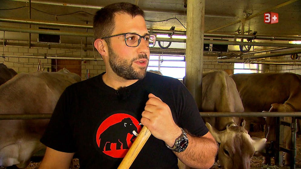 «Bauer, ledig, sucht». Chauffeur Pascal sucht die grosse Liebe im TV – schon wieder