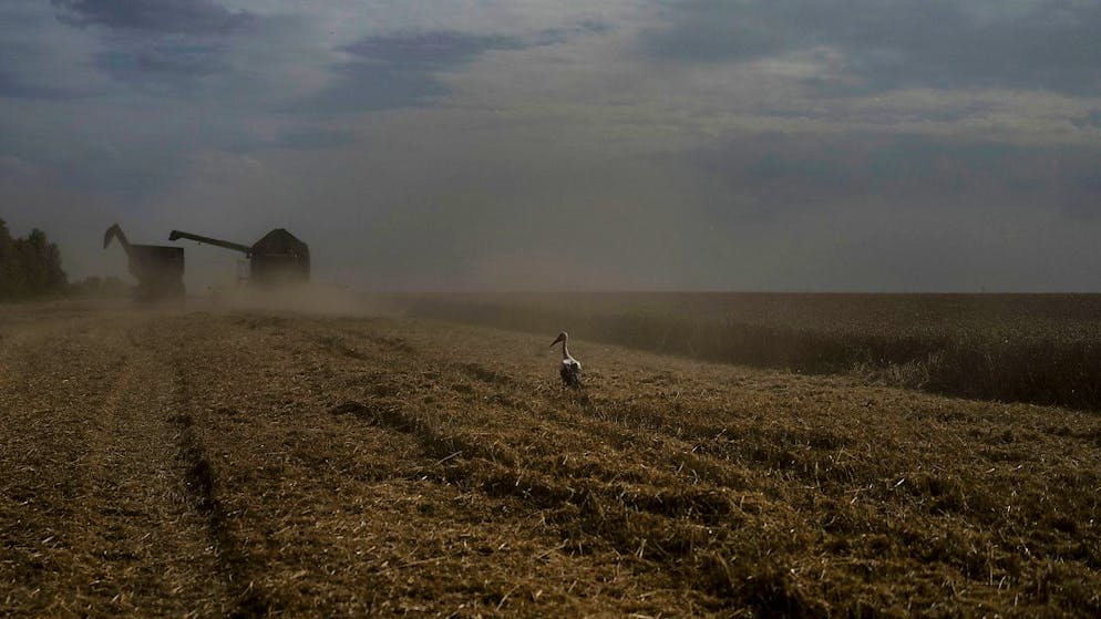 Guerra. La Polonia smorza le tensioni e apre i corridoi per il grano ucraino