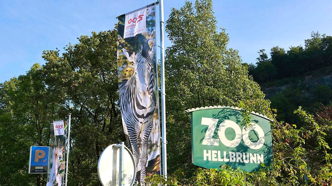 Österreich. Nashorn tötet deutsche Pflegerin im Zoo Salzburg – Ehemann verletzt