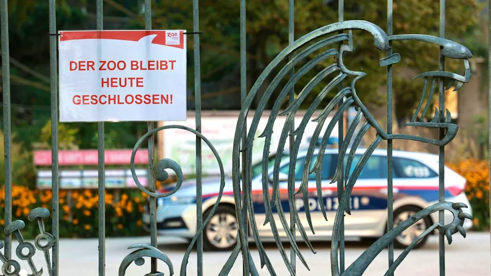 Grosseinsatz in Österreich. Nashorn tötet Pflegerin im Zoo Salzburg