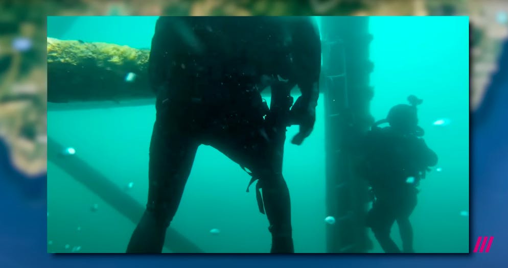 Putins Datscha im Süden der Krim. ... bewaffnete Taucher sichern ...