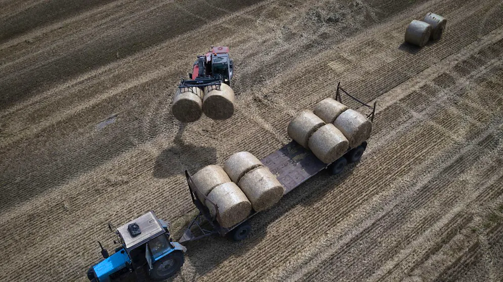 Guerra in Ucraina. Kiev: «Una nave carica di grano partita per l'Egitto»