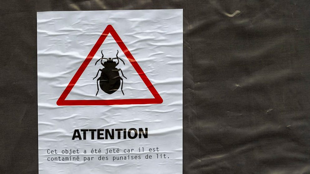 Francia. Parigi invasa dalle cimici dei letti, il Governo costretto a intervenire