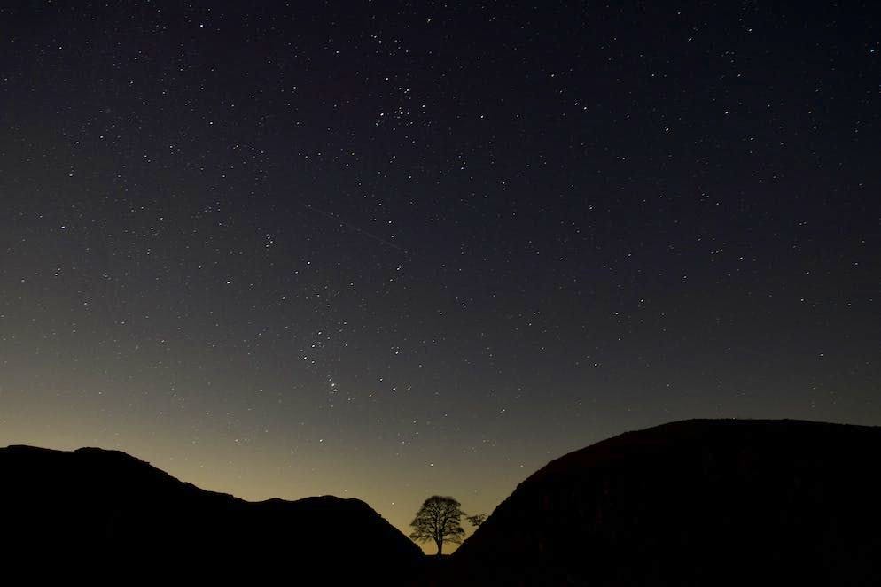 L'albero di Sycamore Gap è stato eletto «Albero dell'anno» nel 2016.