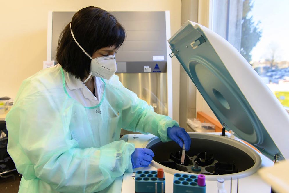 Immagine illustrativa d'archivio.