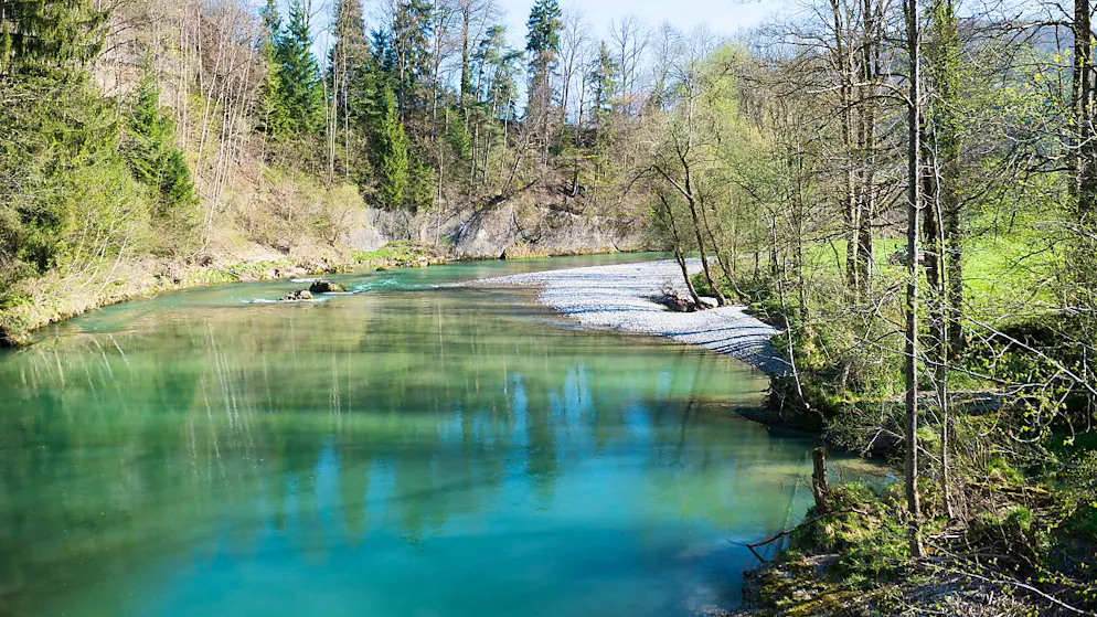 Die Frage, ob die Thur durch "Polisherwasser" von der Züger Frischkäse AG verunreinigt wurde, muss wohl das Gericht entscheiden. (Symbolbild)