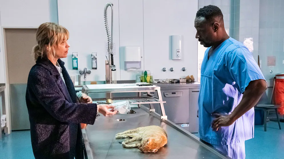 «Tatort»-Check: Wie verbreitet ist Stalking wirklich?. Eine tote Katze als Beweismittel? Der Rechtsmediziner (Jerry Kwarteng) bekommt von Ellen Berlinger (Heike Makatsch) die ungewöhnliche Aufgabe, ein verblichenes Tier zu obduzieren.
