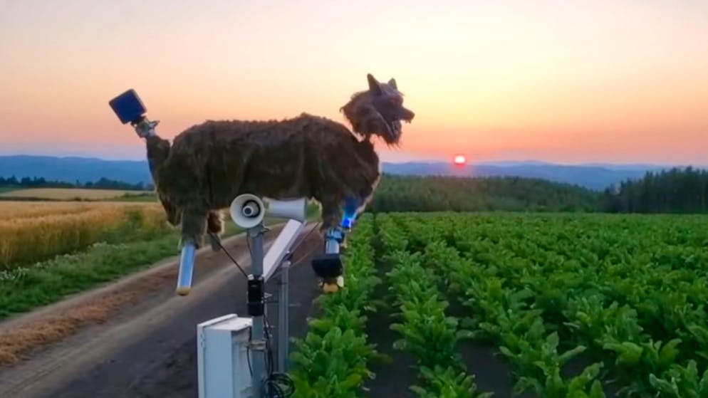 Nach Attacke auf Menschen. Bizarrer Roboter-Wolf soll Bären das Fürchten lehren