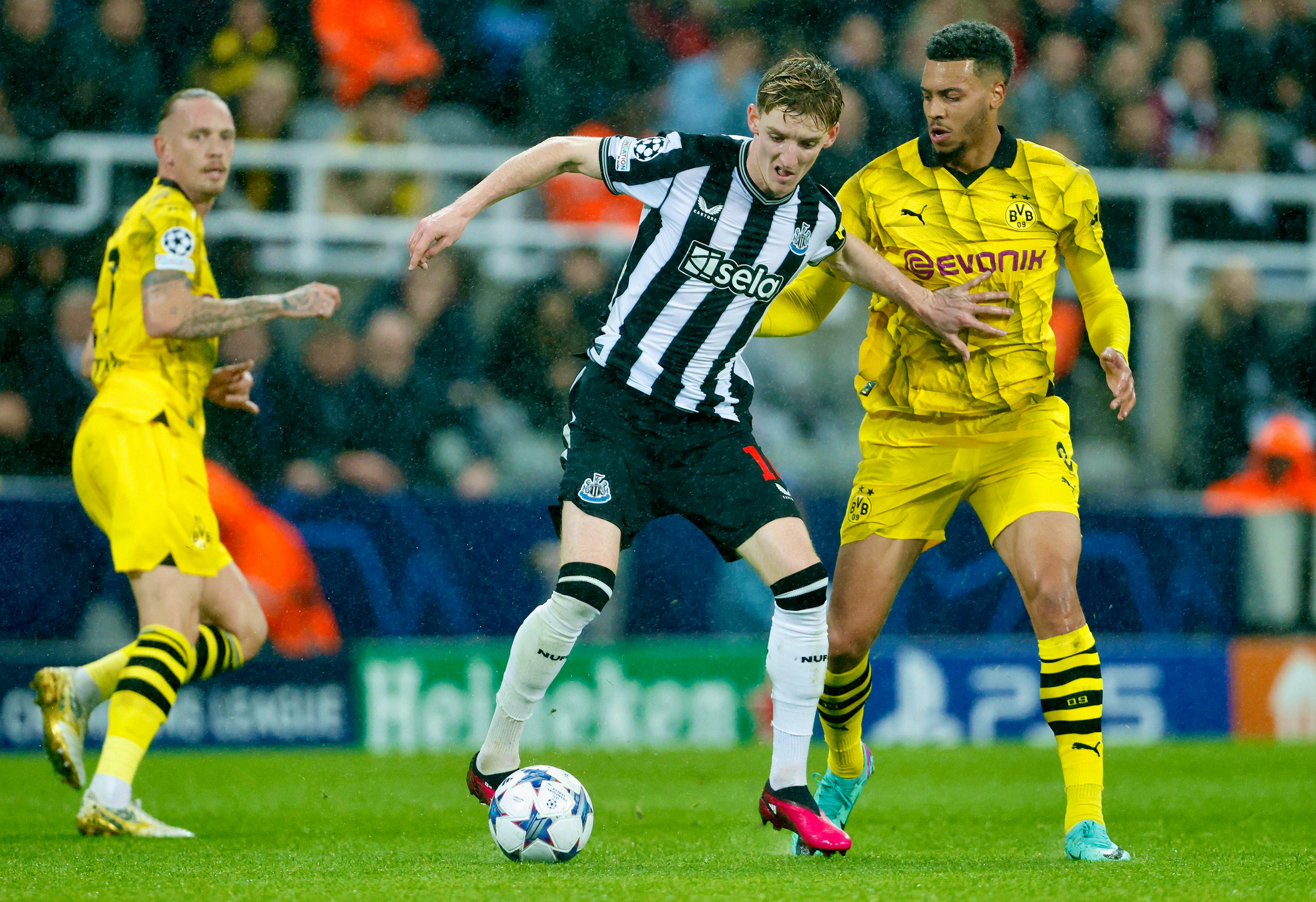 Livestream: Newcastle United Vs. Borussia Dortmund | Blue News