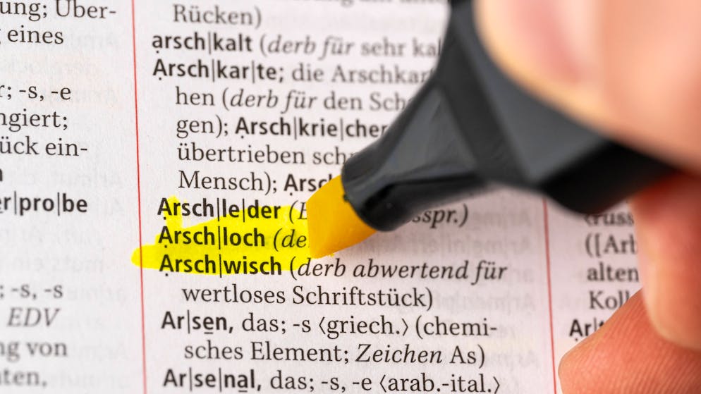 Die Kraft der Schimpfwörter. Warum Fluchen gesund ist