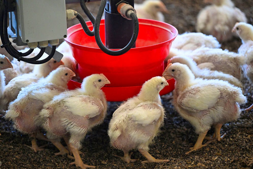 Uniterre appelle le Conseil fédéral à respecter le choix démocratique d’un système alimentaire durable et crédible (archives).