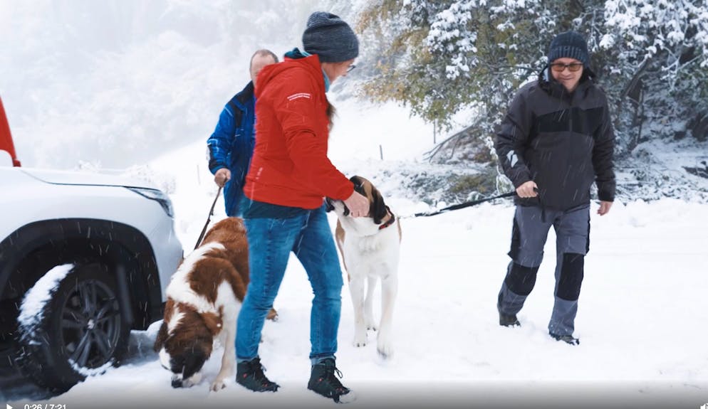 Saint-Bernard. L'intervention sociale avec les chiens commence dès la sortie de la voiture sous la neige de la Tzoumaz en Valais, aux portes de l'un des foyers de la Fondation Domus.