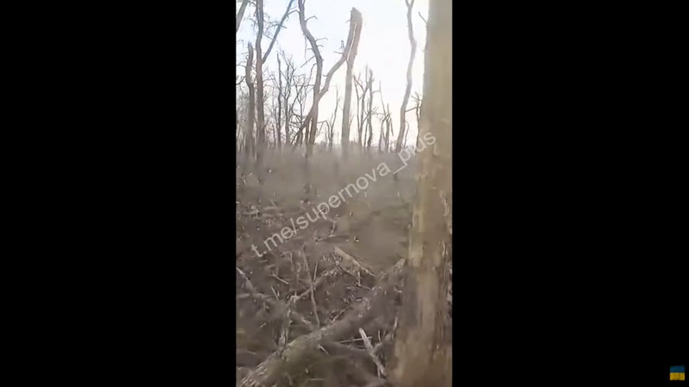 Drohnen-Schlacht im Norden von Awdijiwka. Dann zeigt Reporting from Ukraine das Video eines russischen Soldaten. Er filmt in der Baumlinie in Richtung Industriequartier Awdijiwka, bevor er die Kamera senkt. Der Boden ist demnach übersät von russischen Leichen.