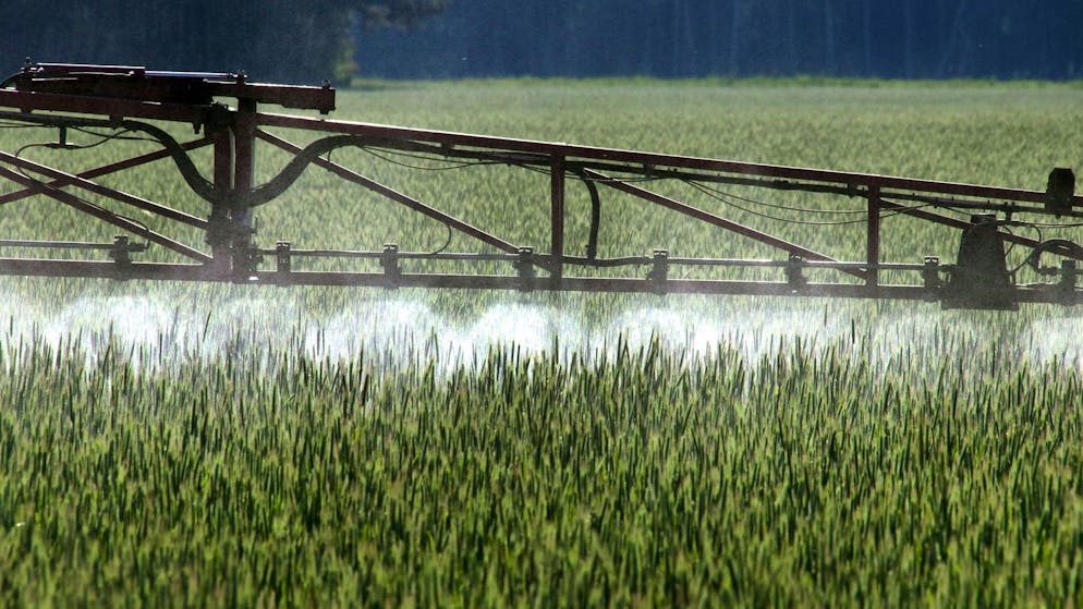Possibly carcinogenic. Farmers want to use banned pesticides again