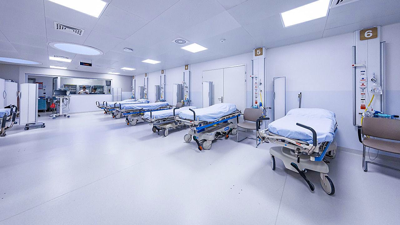 Gesundheit. Seit Corona verschwundene Bakterien Mykoplasmen sind zurück