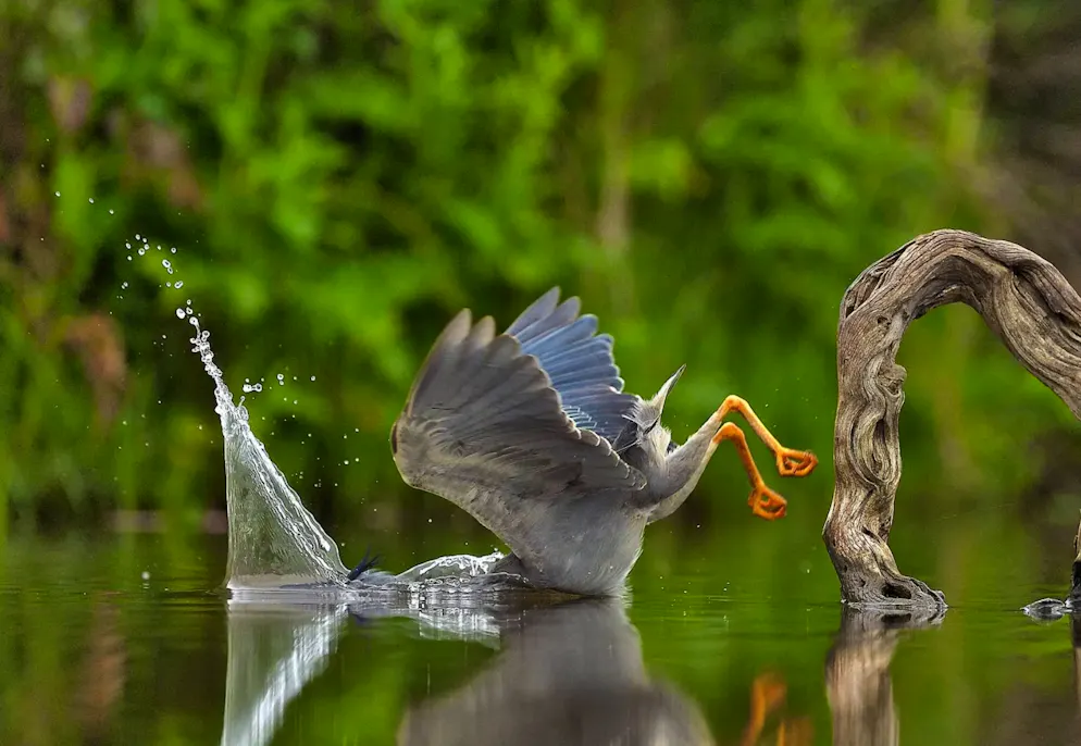 Platsch! Das mit der Wasserlandung üben wir dann nochmals.