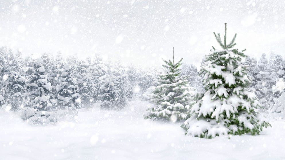 Schnee an Weihnachten 2023: Wie stehen die Chancen auf Schnee