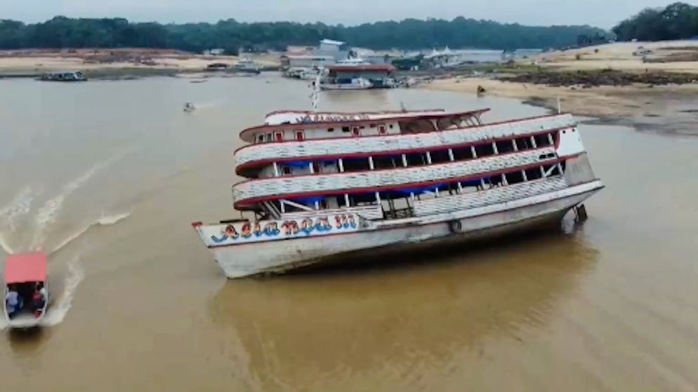 Regenwald ohne Regen. Eine Jahrhundertdürre plagt den Amazonas
