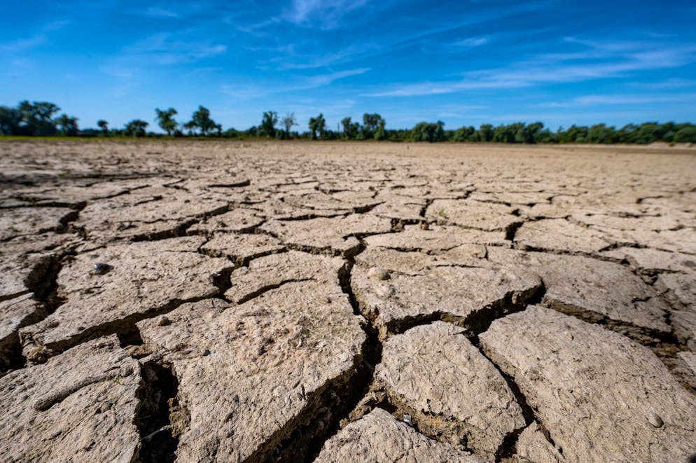 Folgen eines gekippten Klimasystems: Der Anbau von Pflanzen für Grundnahrungsmittel  wäre nicht mehr möglich.