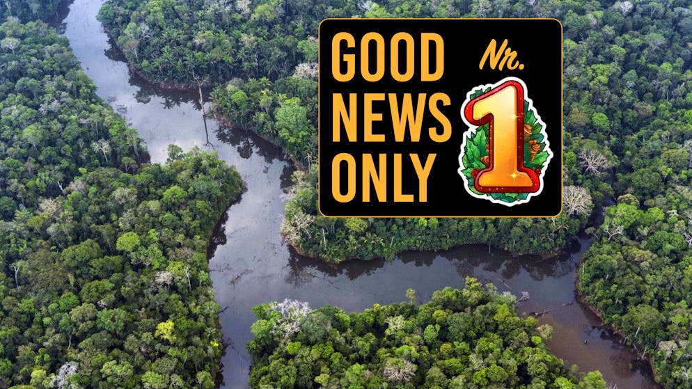 Törchen 1. Die grüne Lunge der Erde kann etwas aufatmen