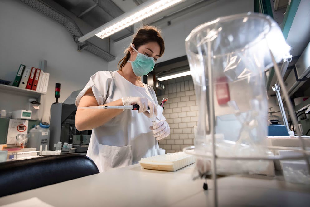 Immagine illustrativa d'archivio.