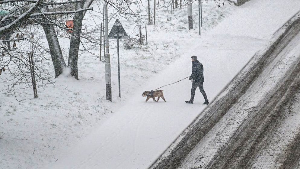Passeggiare con il cane è una delle pratiche che riduce il rischio di demenza senile in vecchiaia. (immagine simbolica)
