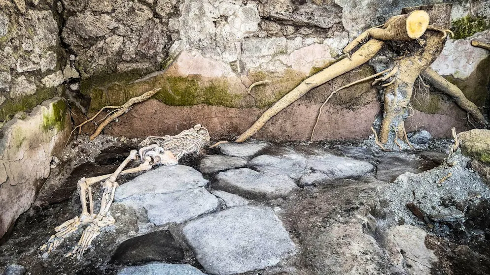 Italia. A Pompei emerge un panificio-prigione