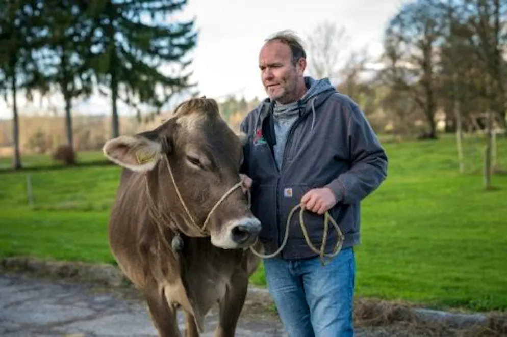 Suisse: le glas va t-il sonner pour les cloches des vaches d'Aarwangen? - Gallery. Le fermier Rold Rohrbach et l'une de ses vaches dans le village d'Aarwangen, en Suisse, le 29 novembre 2023