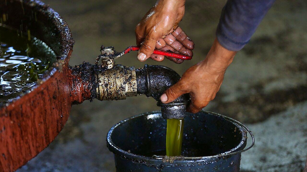 Ernährung. Grünes Gold – Olivenöl wird knapp, teuer und beliebtes Diebesgut