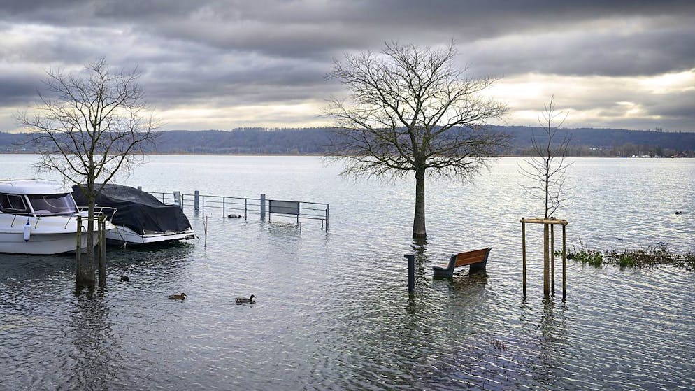 Primo caso stagionale. Un caso di influenza aviaria rilevato sulle sponde del Lago di Bienne