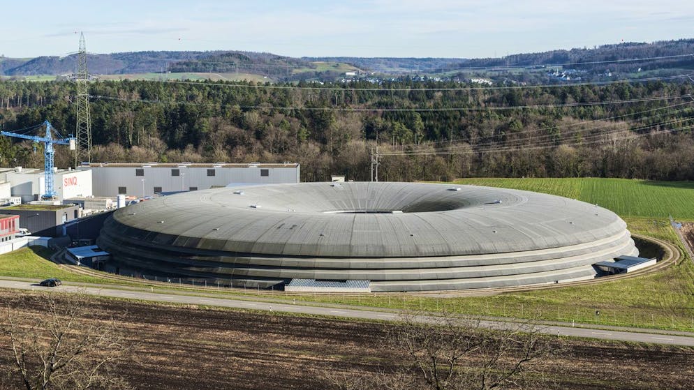 Neuer Bluttest und Impfung. Forscher feiern zwei wichtige Erfolge im Kampf gegen Krebs