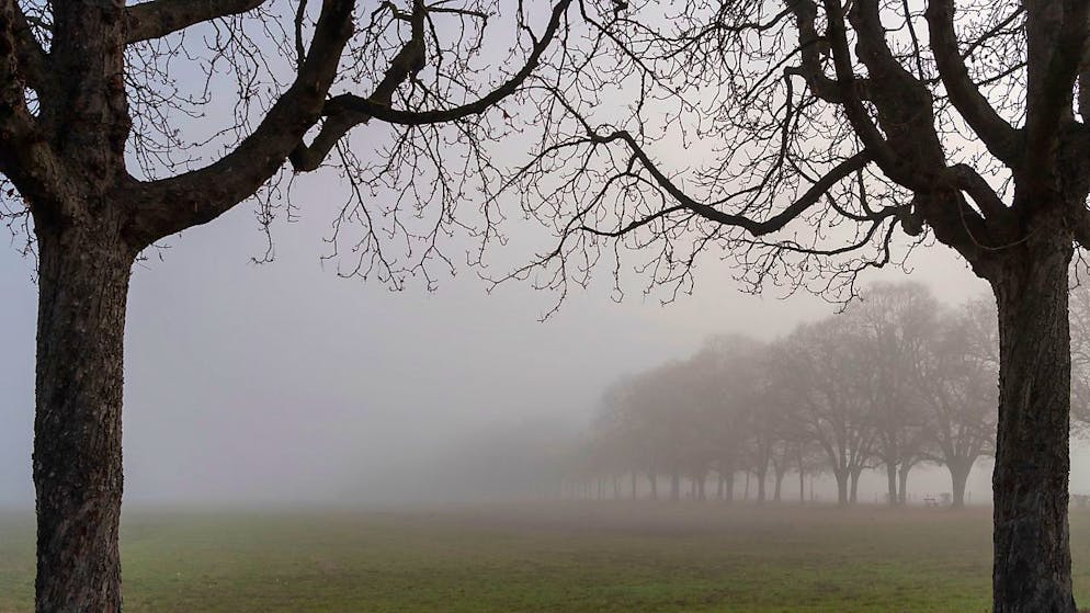 Maxi tamponamento a causa di nebbia gelata