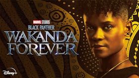 Disney+ Artwork Black Panther Wakanda Forever