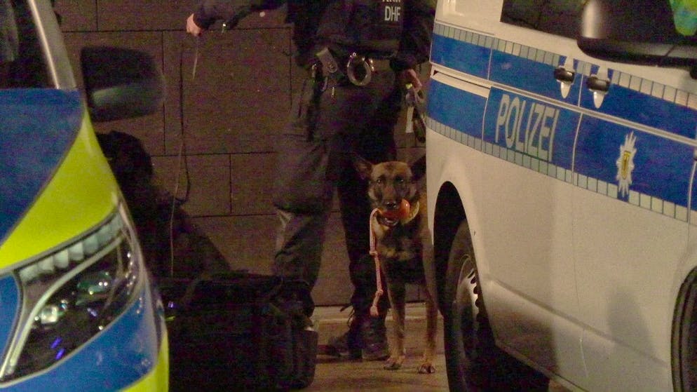 Perquisita la Catterale di Colonia per allarme terrorismo. Il fermo immagine di un video mostra un cane da fiuto per esplosivi della polizia in servizio presso la cattedrale.