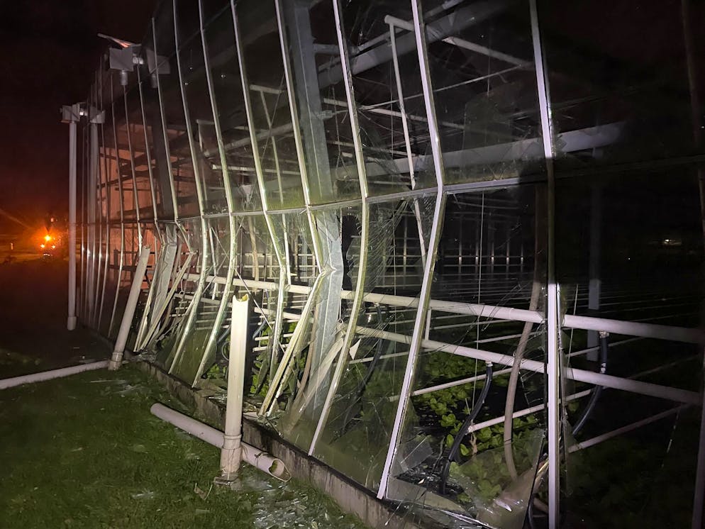 Una delle serre distrutte. La fattura totale dei danni s'eleva a più di 200.000 franchi.