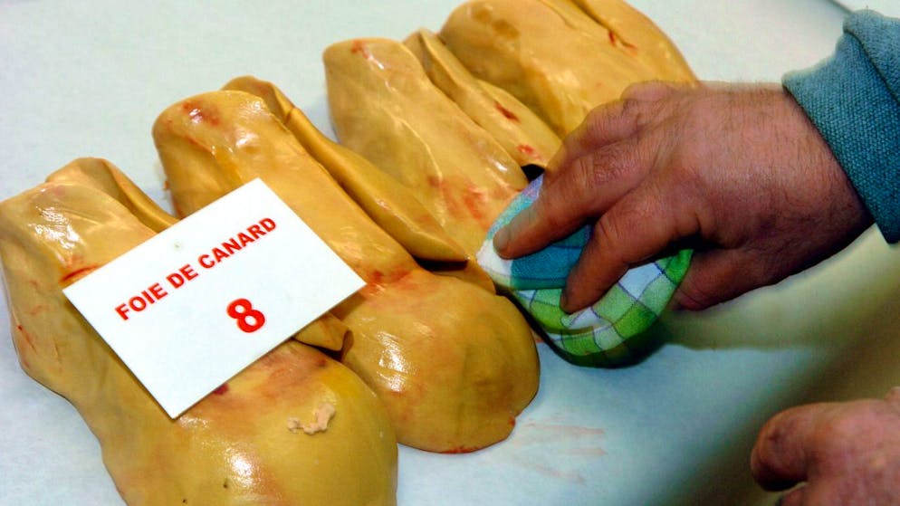 Iniziative popolari. Gli svizzeri andranno a votare sul divieto d'importazione di foie gras e pellicce