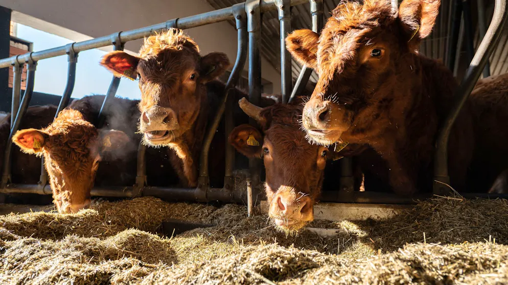 Politician is now fighting for transparency. Farmers are struggling to survive - retailers are cashing in