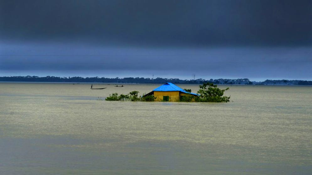 Studio WEF. L'analisi del WEF: 14 milioni di morti entro 2050 per la crisi del clima