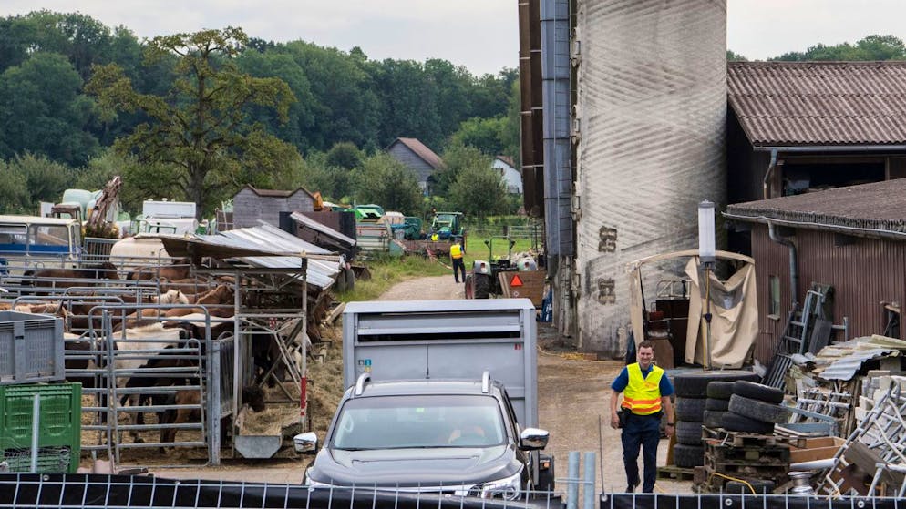 Hefenhofen. Turgovia, l'ex veterinario cantonale a processo per il caso della «fattoria degli orrori»